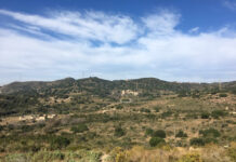 Badalona ha quedat inclosa en el segon perímetre de seguretat per evitar la propagació del focus de Pesta Porcina Africana