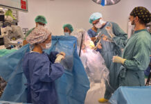 L’aliança entre els hospitals Germans Trias i Vall d’Hebron, referent estatal per realitzar cirurgia funcional dels trastorns del moviment