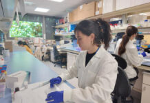 Un projecte d’innovació impulsat per l’IGTP vol millorar la detecció i el seguiment de la malaltia renal crònica amb una eina diagnòstica no invasiva