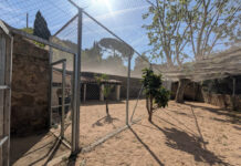 Badalona construeix la primera gatera municipal per reubicar colònies felines de la Serralada de Marina