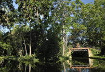 Aquest diumenge 3 de maig tornen les activitats de la Jugatecambiental